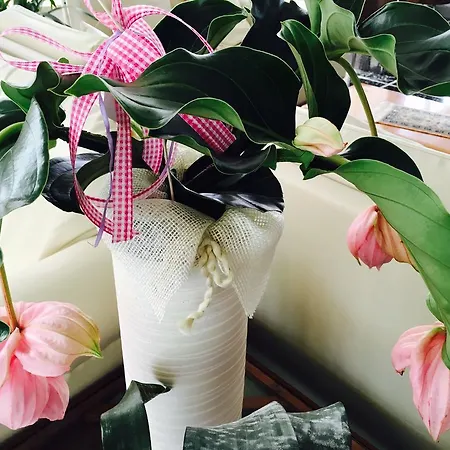 מלון Belsoggiorno